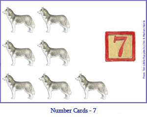 Number Card Seven – 7 Husky Dogs